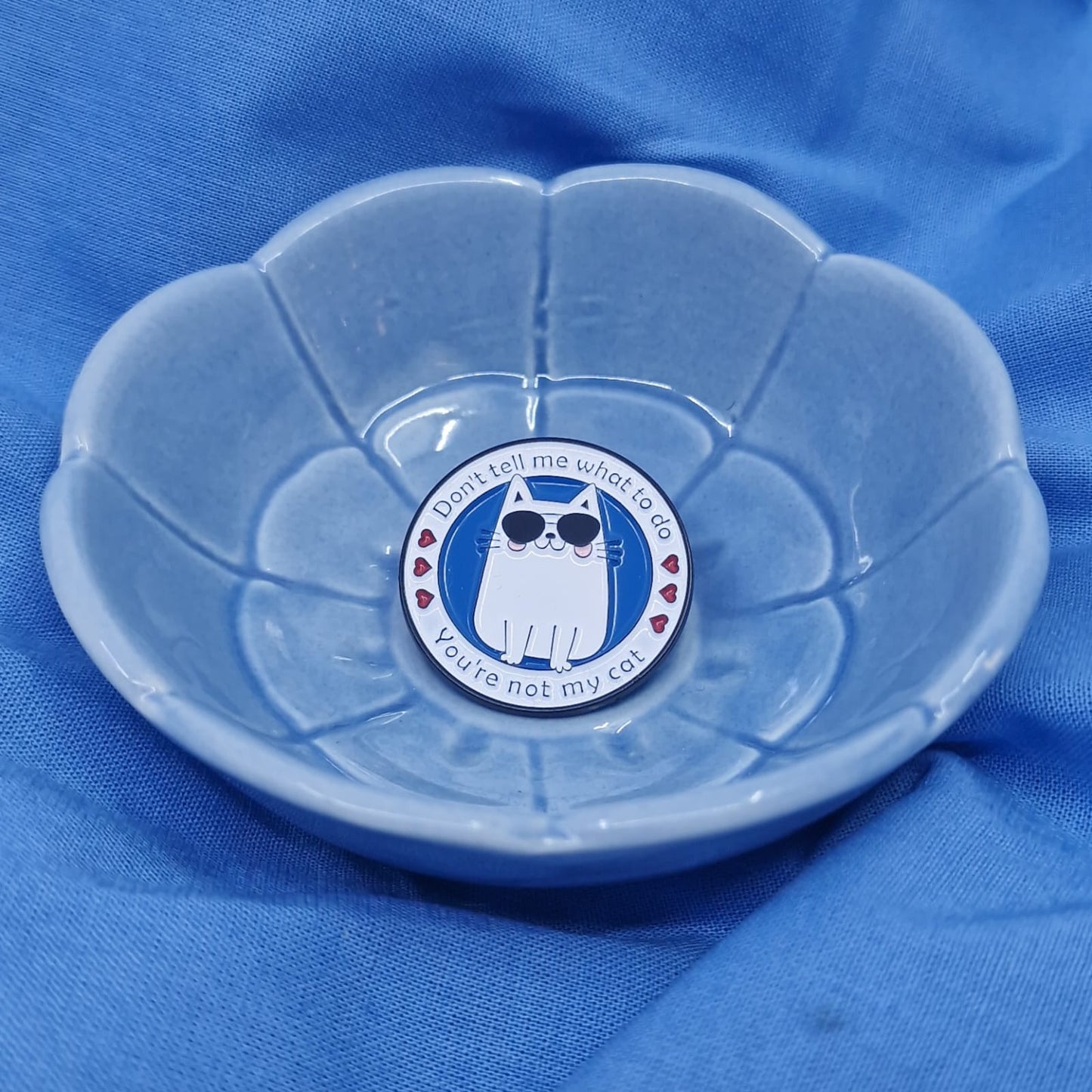 Don't tell me what to do, you're not my cat!